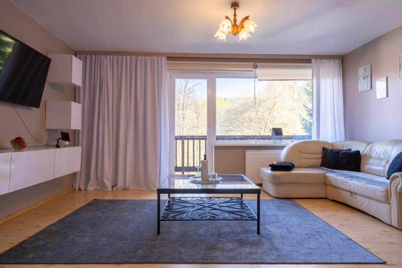 Apartamenty Wiosenna Шклярська Поремба Екстер'єр фото